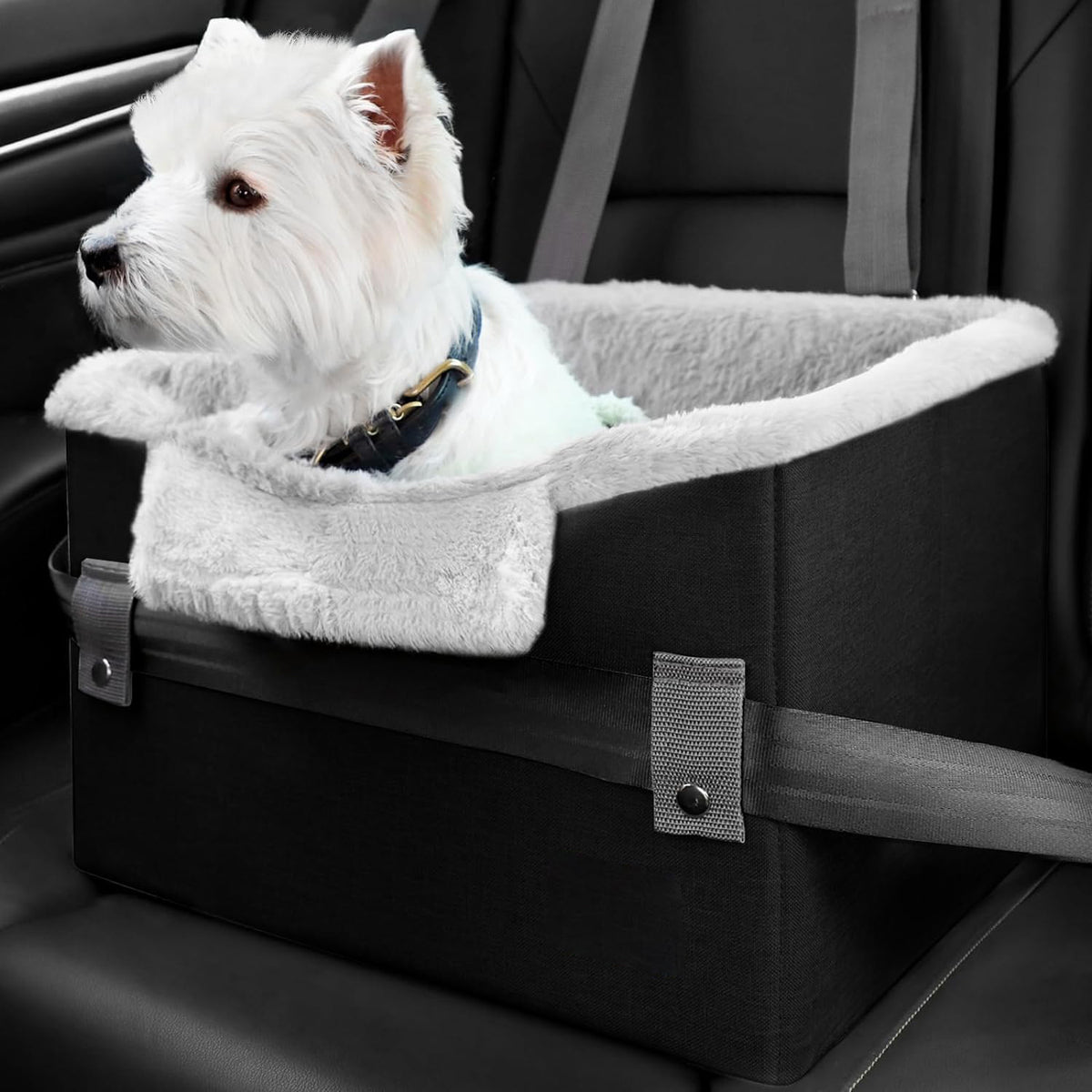 Small Dog Car Booster Seat