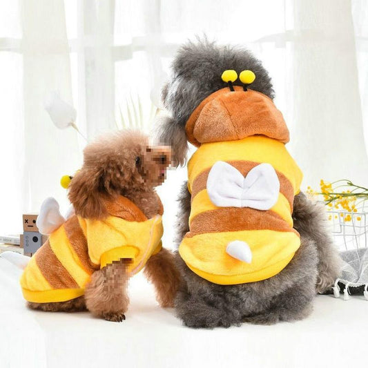 Bumblebee Winter Dog Coat