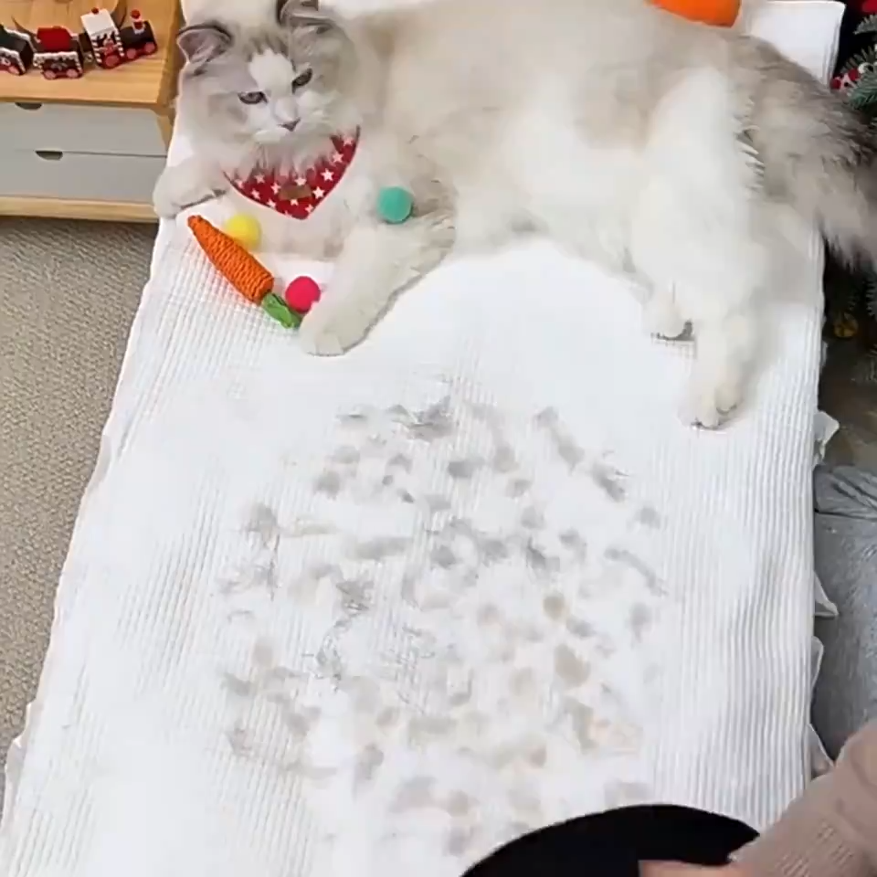 Pet Hair Remover Mitt