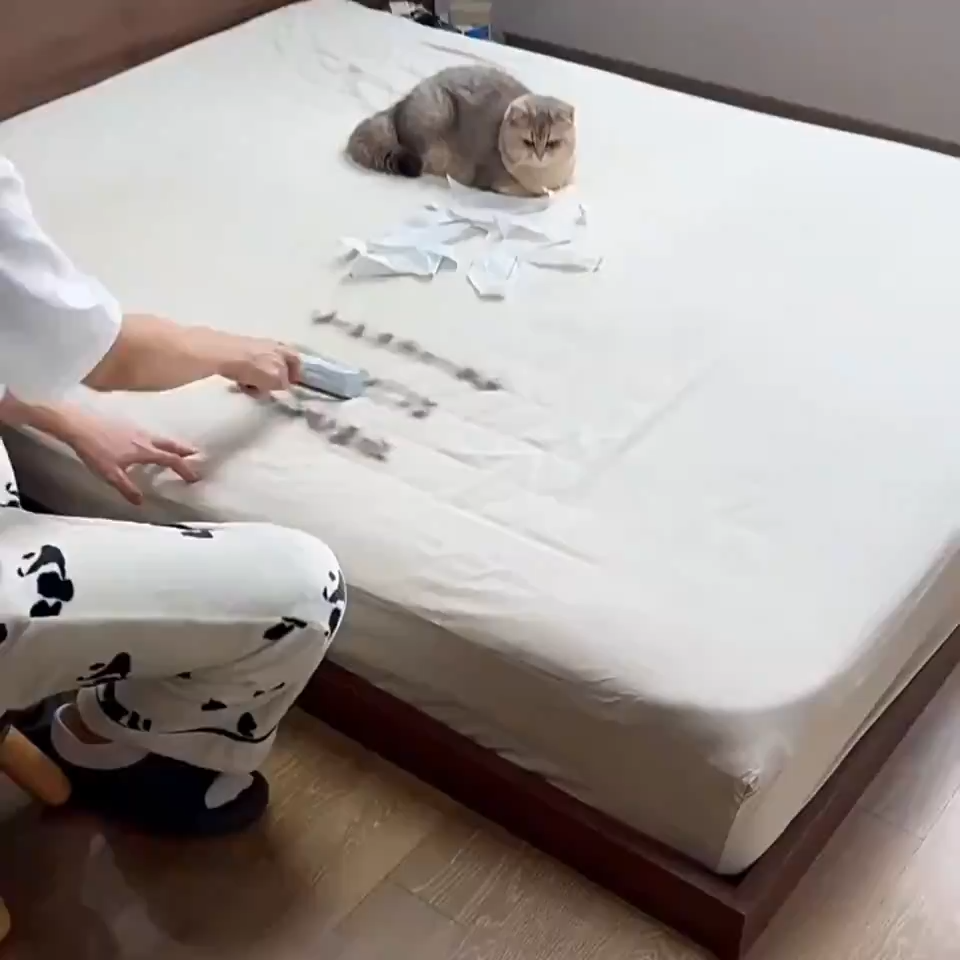 Pet Hair Remover Mitt
