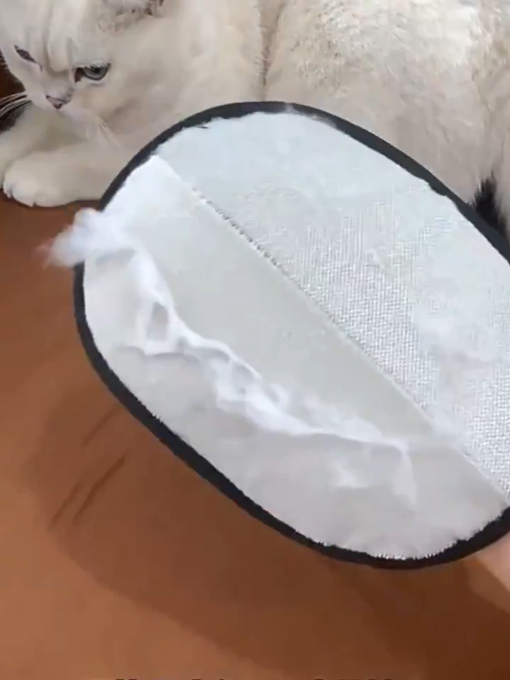 Pet Hair Remover Mitt